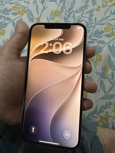 Apple iPhone 12 Pro Max Non PTA