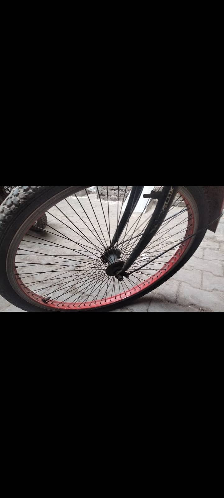 Cycle 1