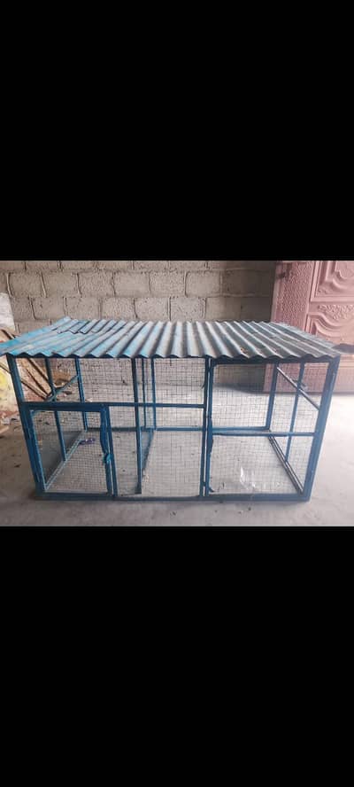 Chicken Cage