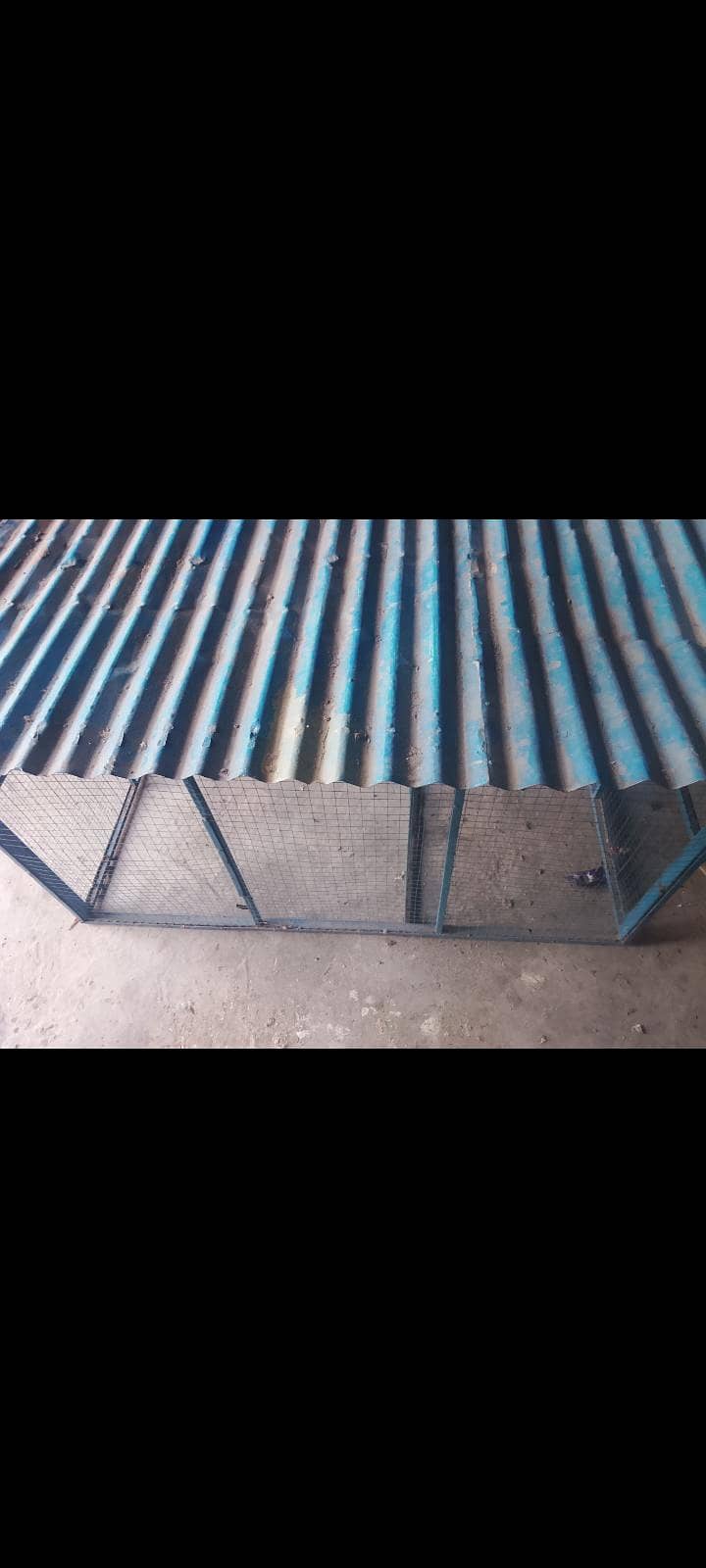 Chicken Cage 3