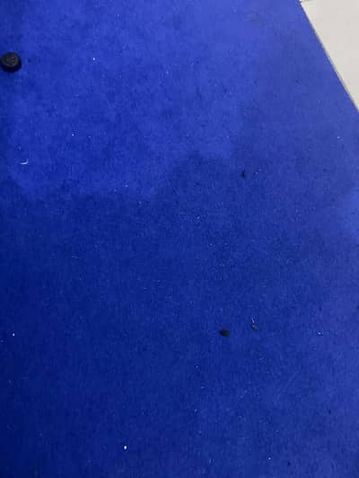 Carpet