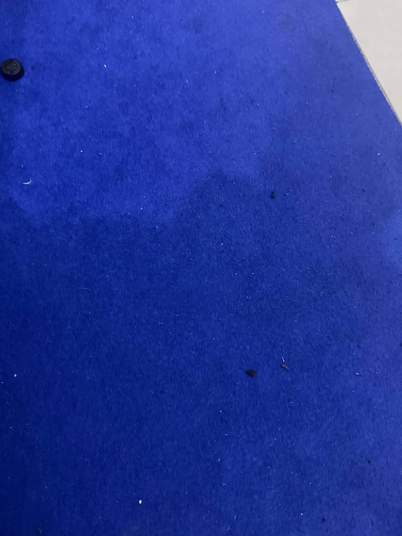 Carpet 0