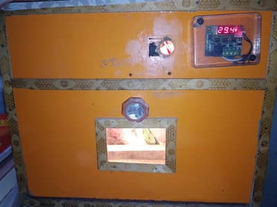Eggs Baby incubator