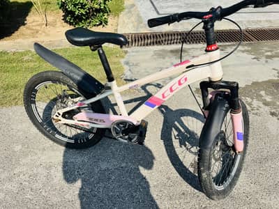 Mountain bike
