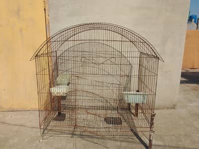Birds cage