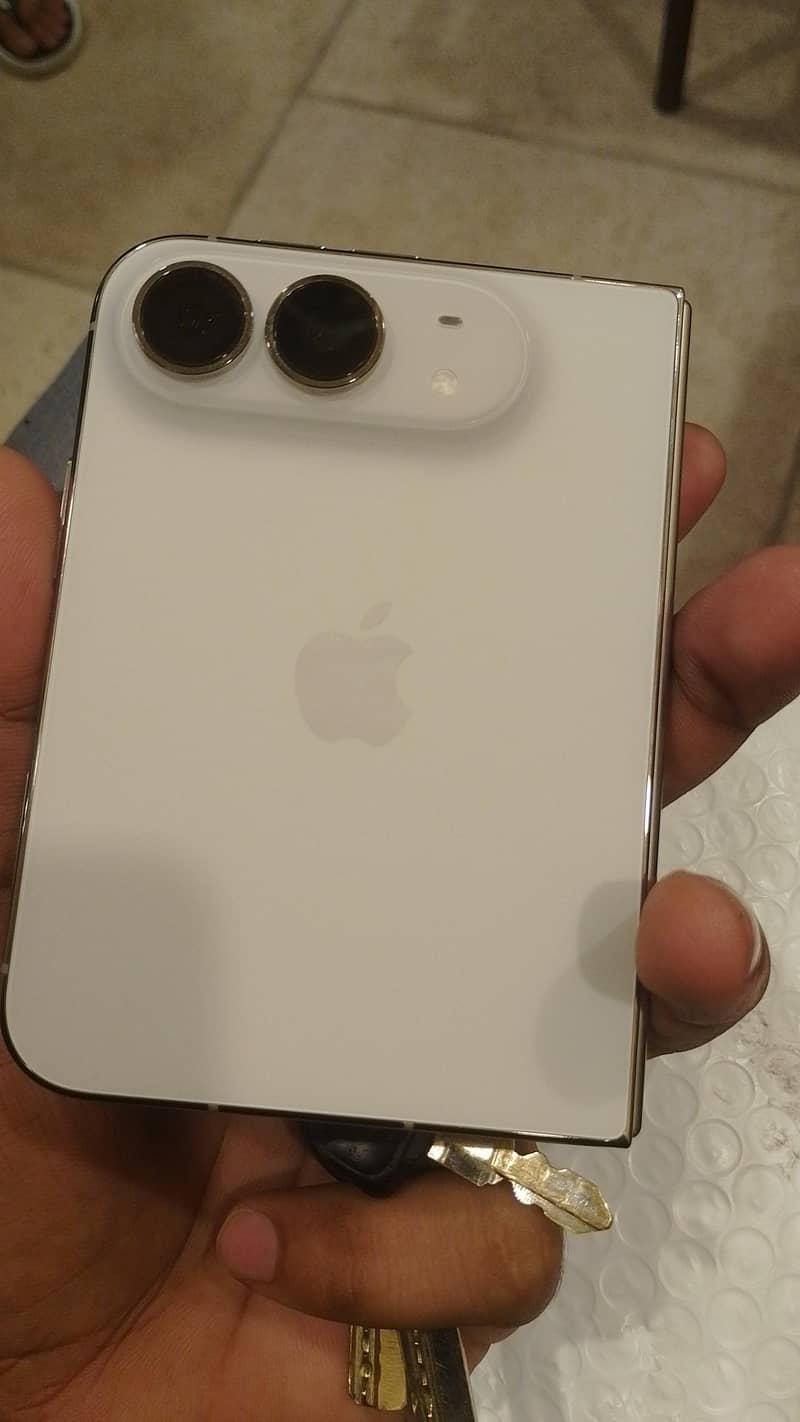 Apple iPhone Duo 4