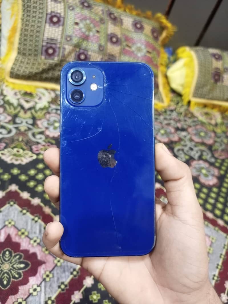 iPhone 12 1