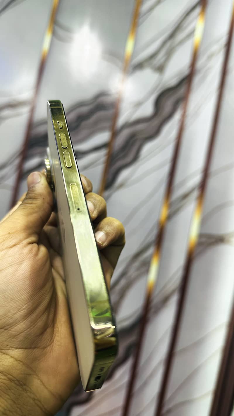 Apple iPhone 13 Pro 0