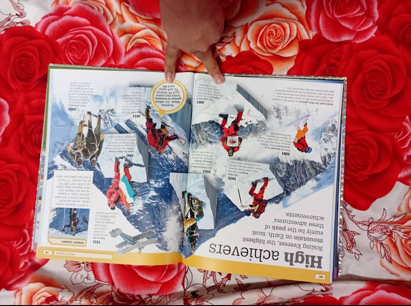 Record breakers book (orginal DK book) 2