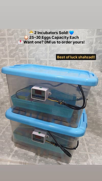 100% result 25 to 30 eggs capacity egg incubator