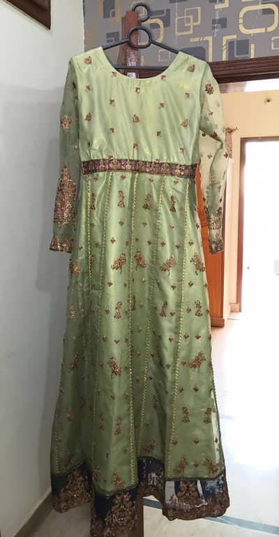 Stunning 3 piece designer style Light green Organza Maxi Dress