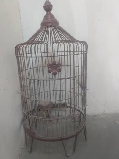 Iron bird cage for sale in Karachi dha phase 1
