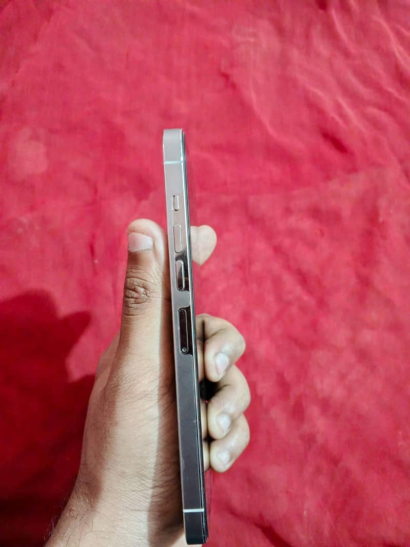 Apple iPhone 13 Pro Max 2