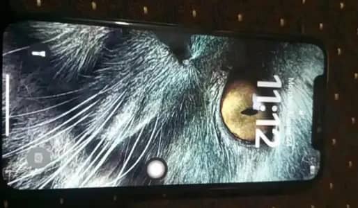 Apple iPhone X