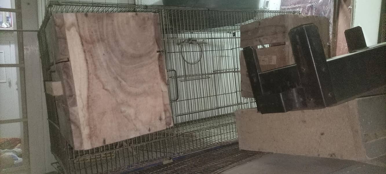 cages 1