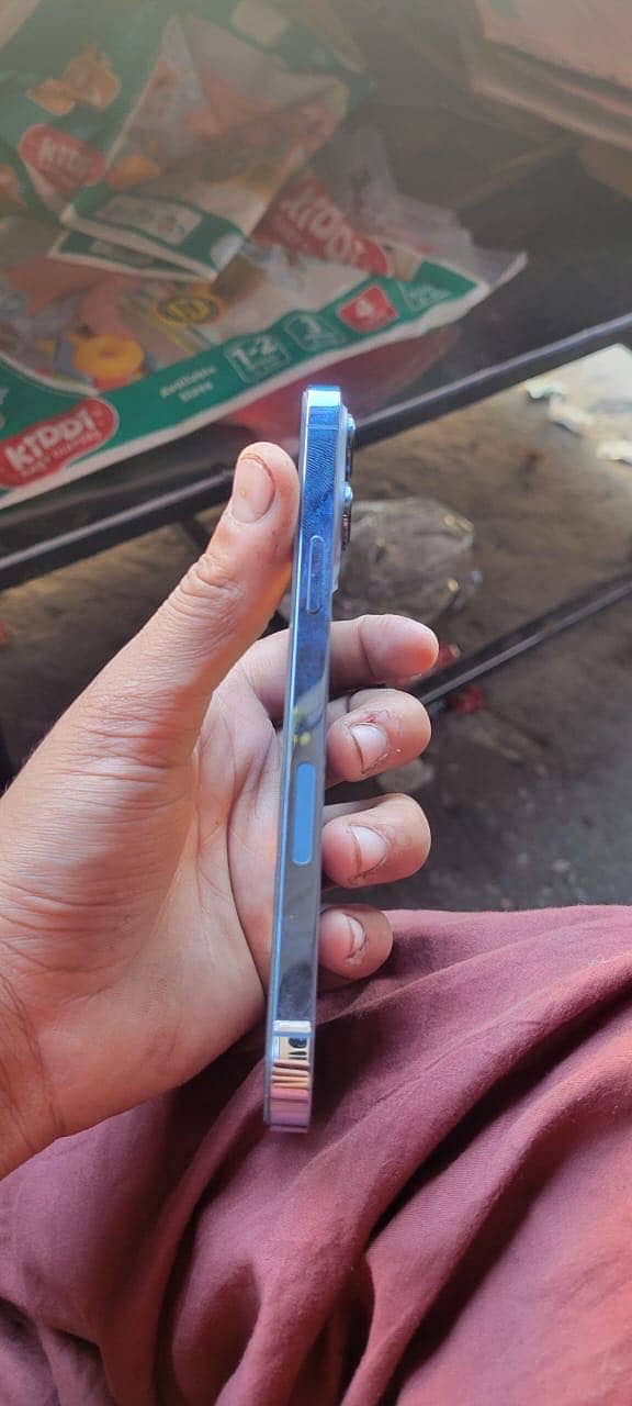 Apple iPhone 13 Pro Max 2