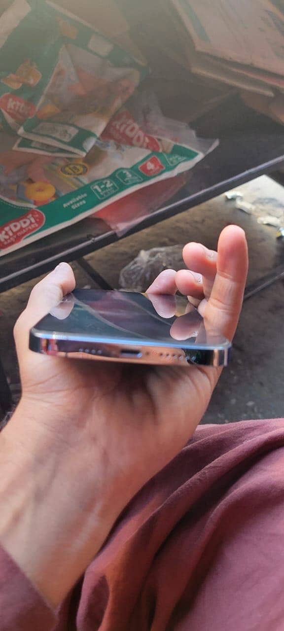 Apple iPhone 13 Pro Max 5
