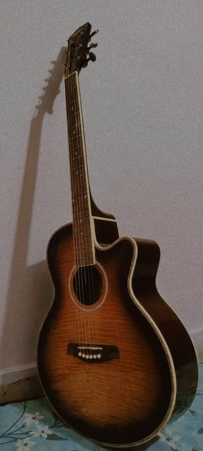 Levin Land LWW-5004C Acoustic Guitar