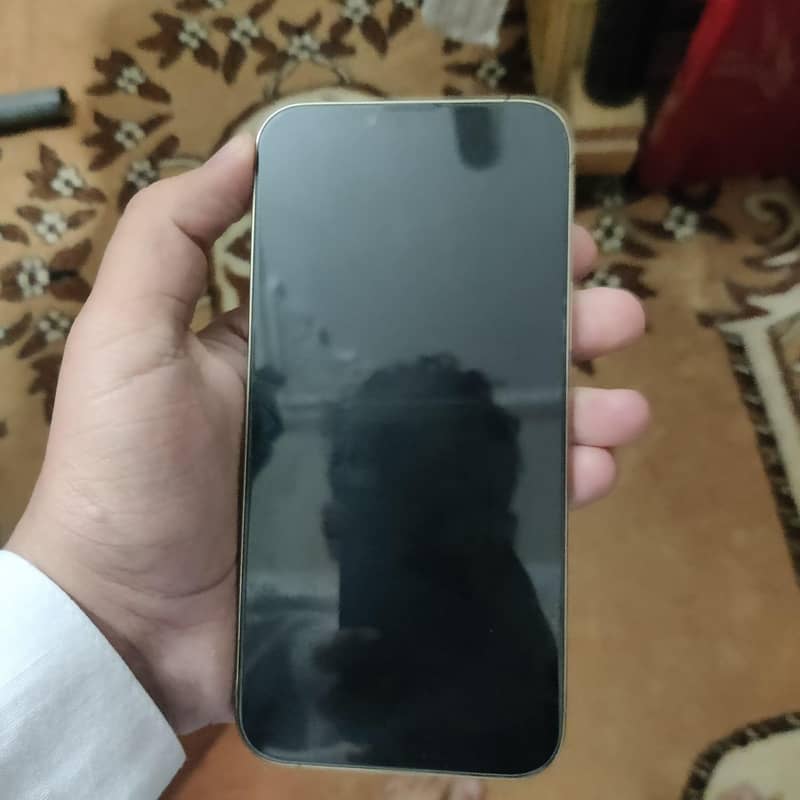 Apple iPhone 13 Pro Max jv 3