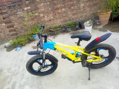 imported Cycle