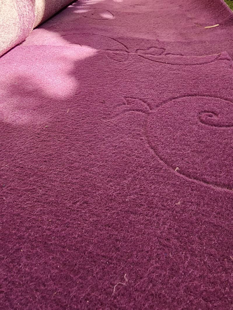 PURPLE CARPET 1