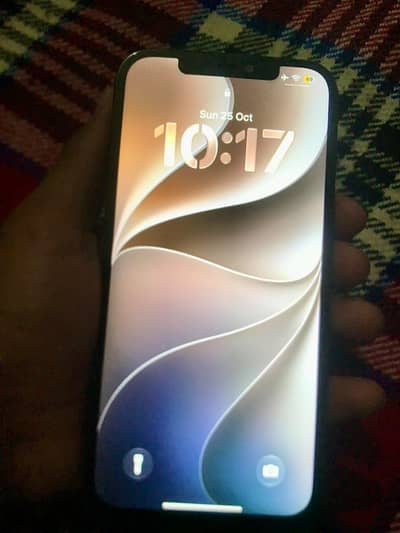 Apple iPhone 12 Pro Max