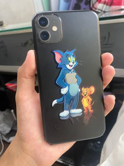 Apple iPhone 11 water pack true tone ok