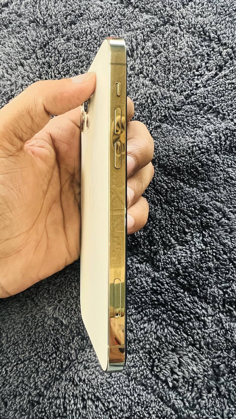 Apple iPhone 12 Pro 1