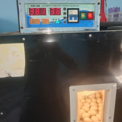 incubator