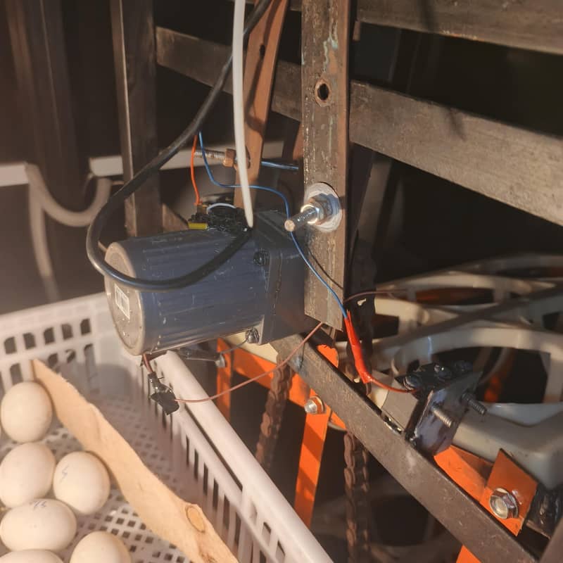 incubator 1