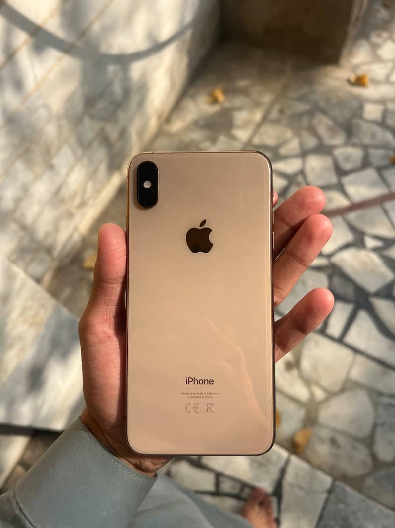 Apple iPhone XS Max 0
