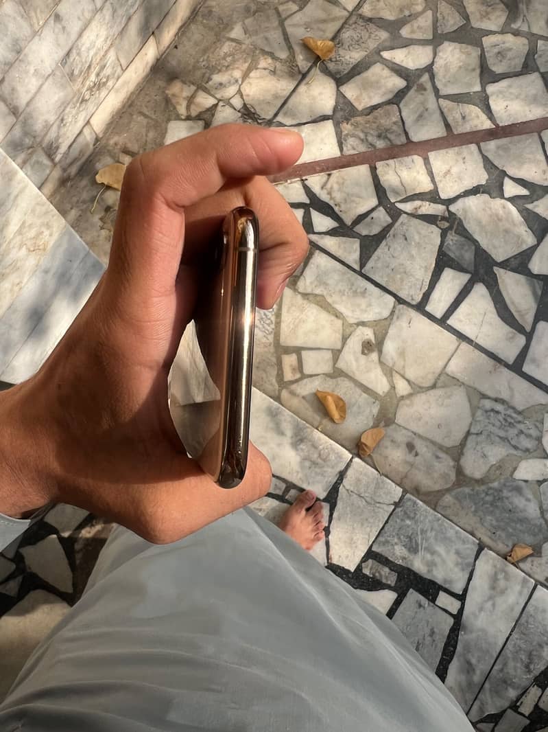 Apple iPhone XS Max 5