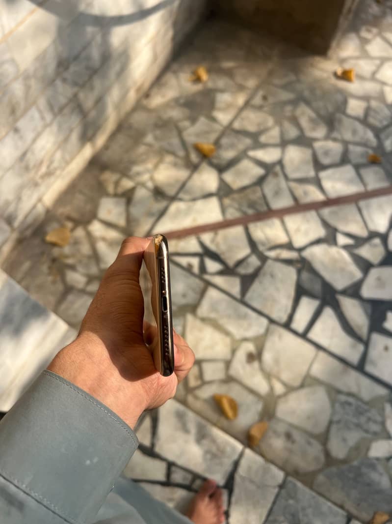 Apple iPhone XS Max 6