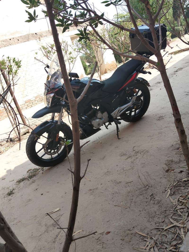 Derbi stx 150 7