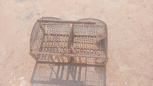 Bird cage