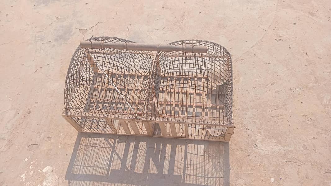 Bird cage 0