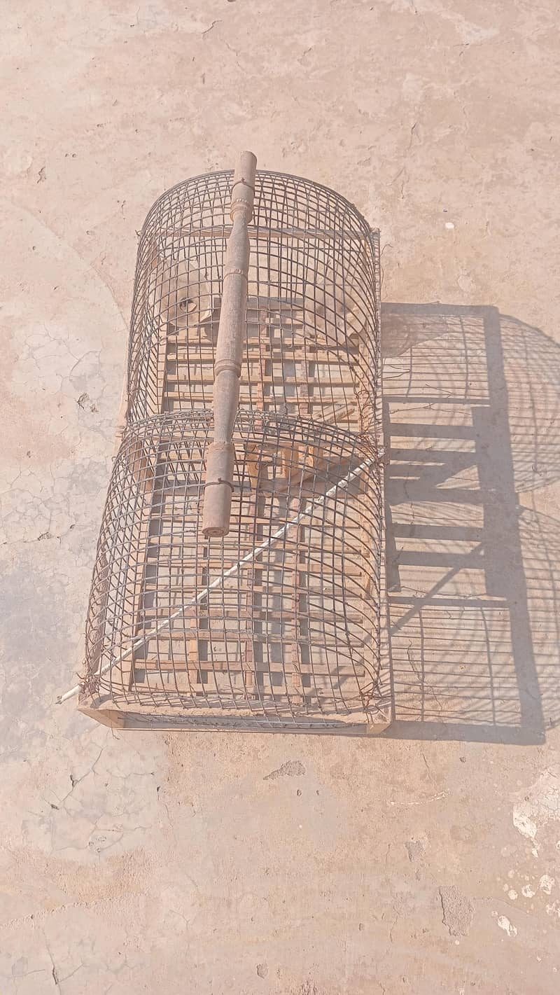 Bird cage 1