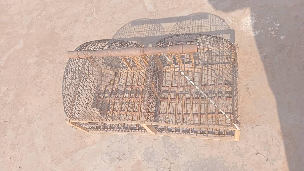 Bird cage 2