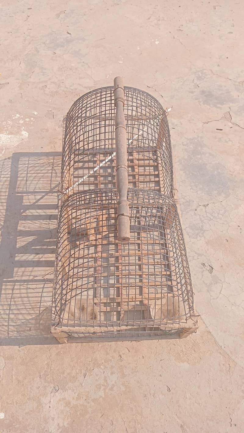 Bird cage 3