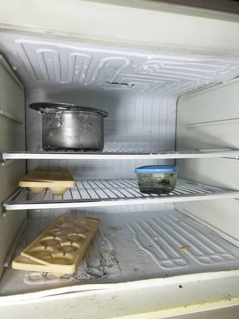 Fridge Dawlance 1