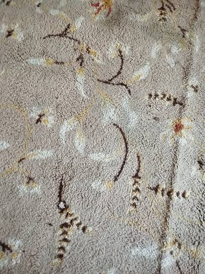 Large carpet