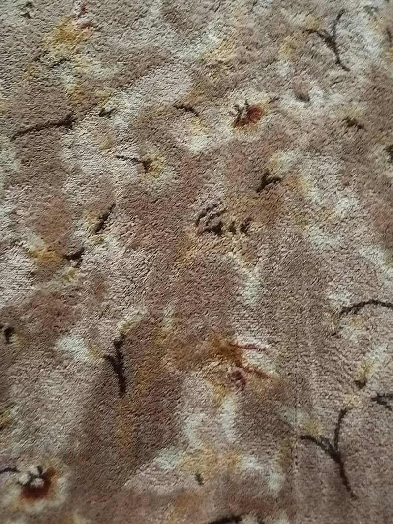Large carpet 1