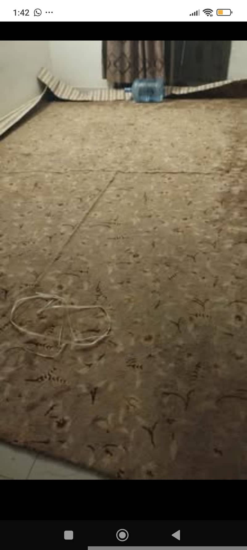 Large carpet 2