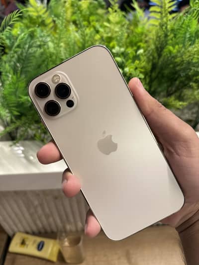 Apple iPhone 12 Pro