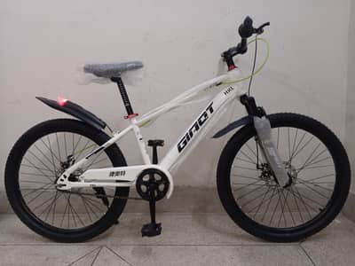 cycle adult size