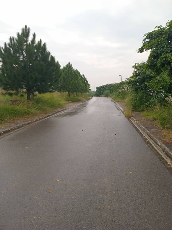 1 kanal heighted plot in Sector C 4