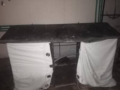 best iron cage