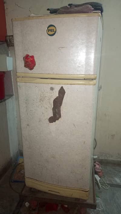 PEL Fridge