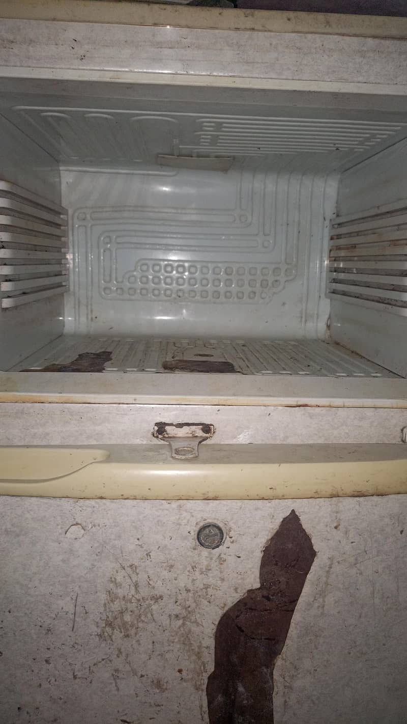 PEL Fridge 1