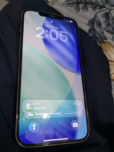 Apple iPhone 12 Pro Max